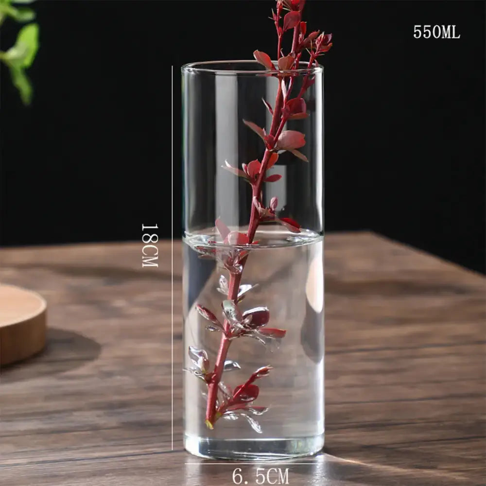 Glass Cylinder Hydroponic Vase