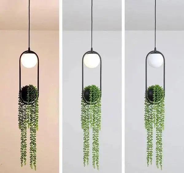 Black Planter Pendant Light
