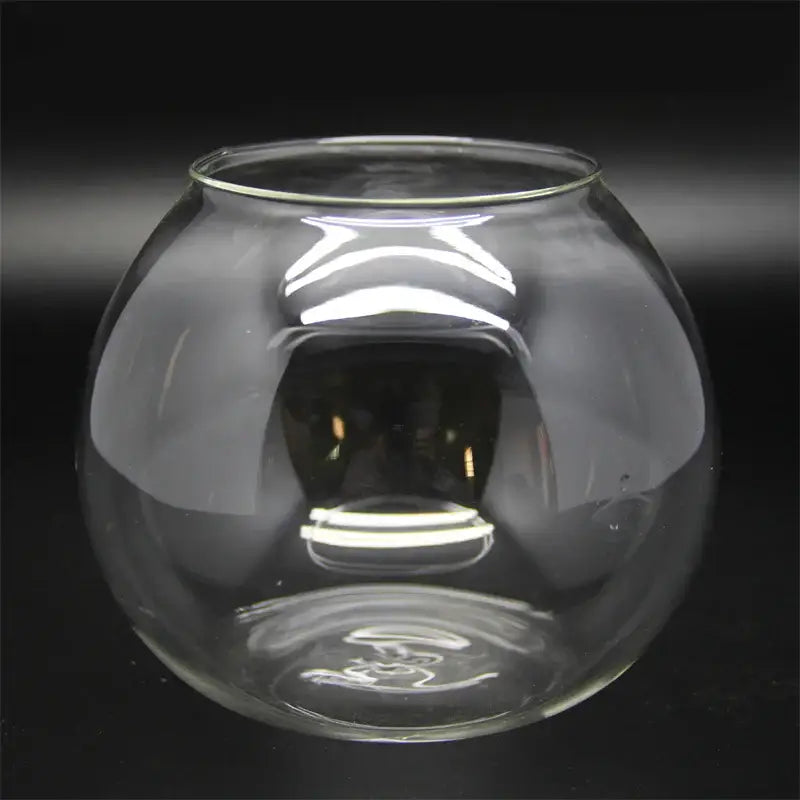 Glass Moss Ball Terrarium