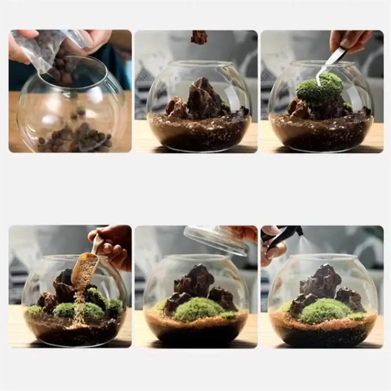 Glass Moss Ball Terrarium
