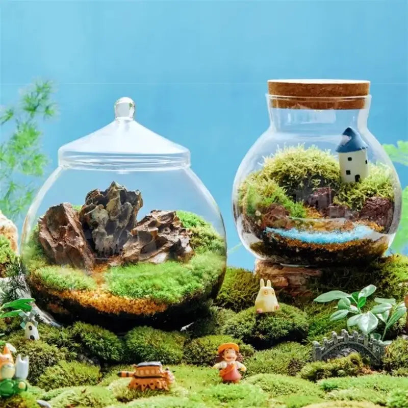 Glass Moss Ball Terrarium