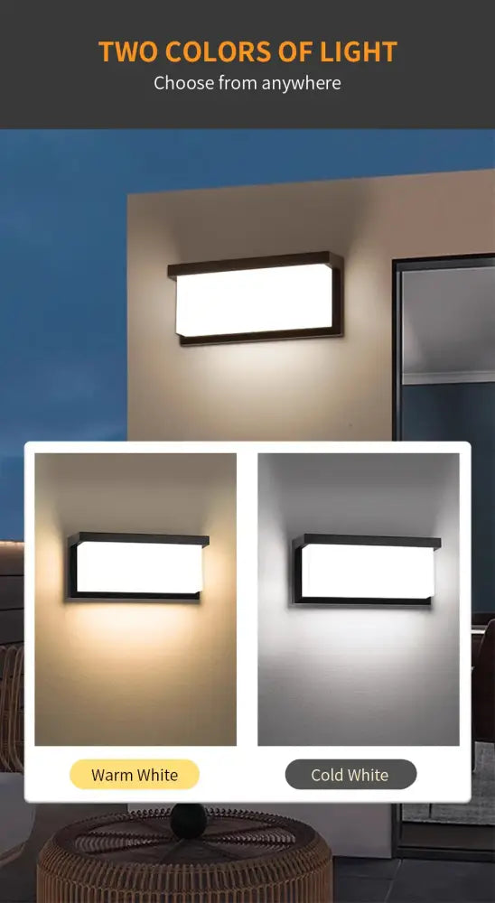 Black Frosted Glass Outdoor Light