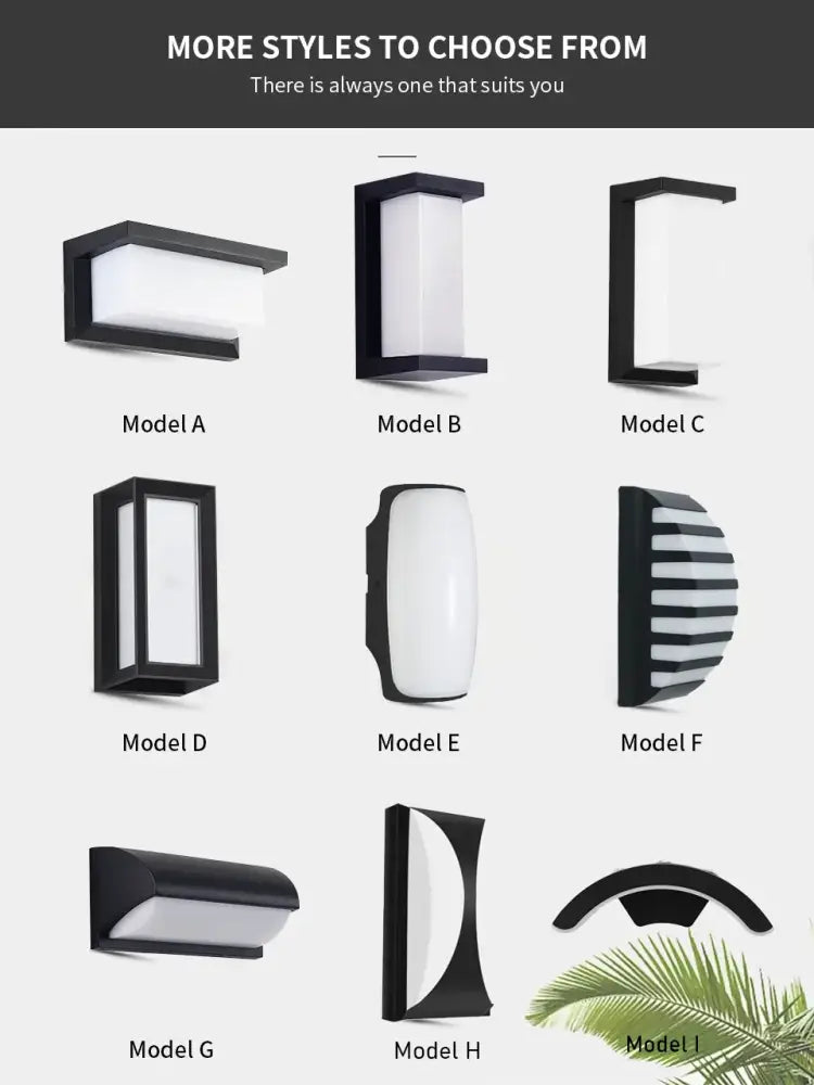 Black Frosted Glass Outdoor Light