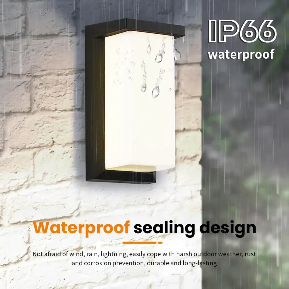 Black Frosted Glass Outdoor Light