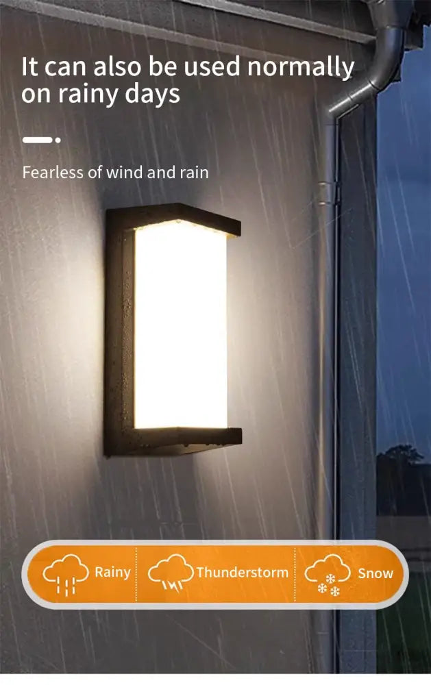 Black Frosted Glass Outdoor Light
