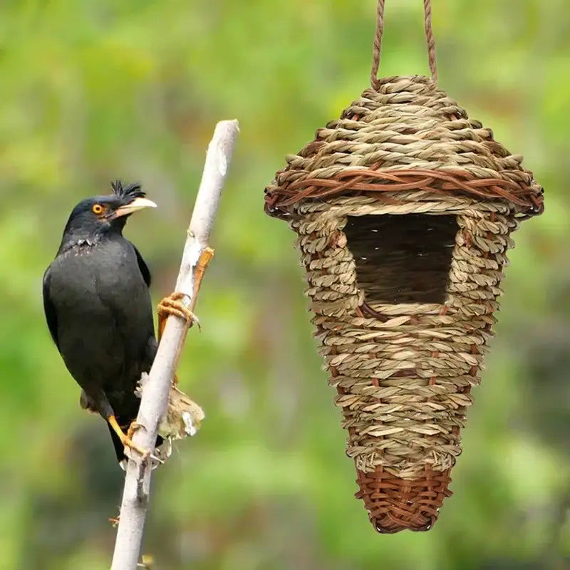 Natural Grass Bird Nest