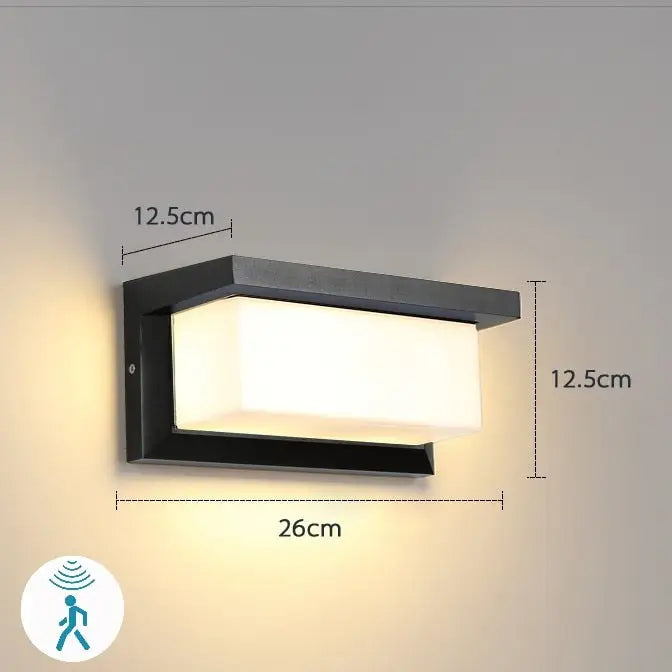 Black Motion Porch Light