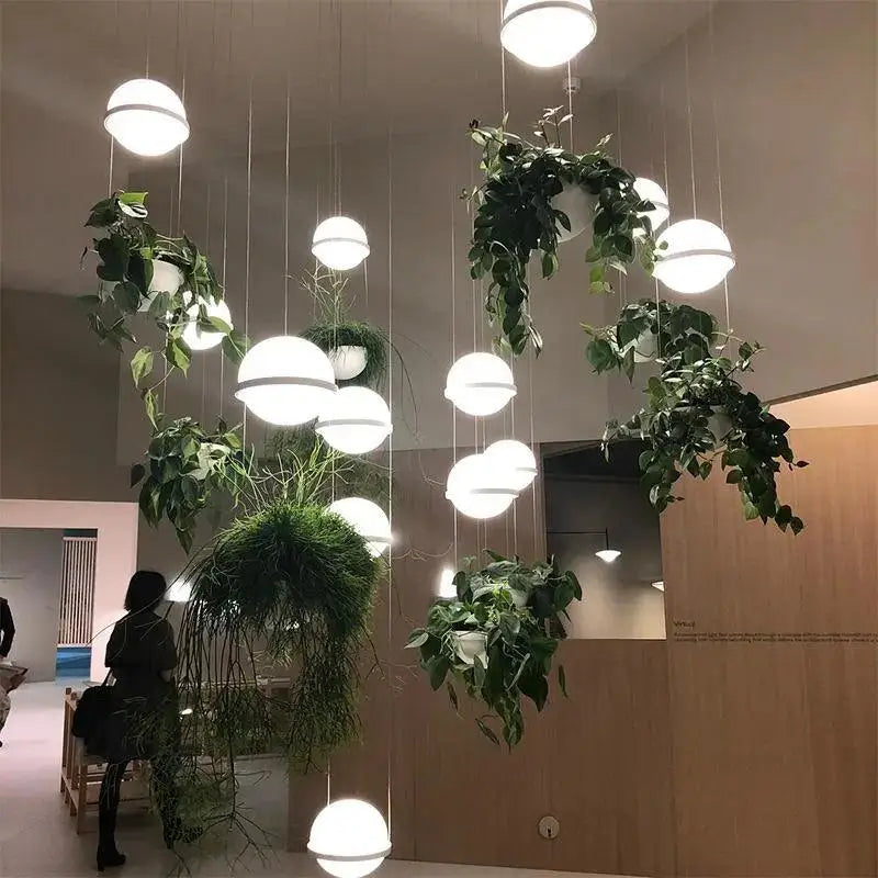 Black Frosted Glass Planter Pendant Light