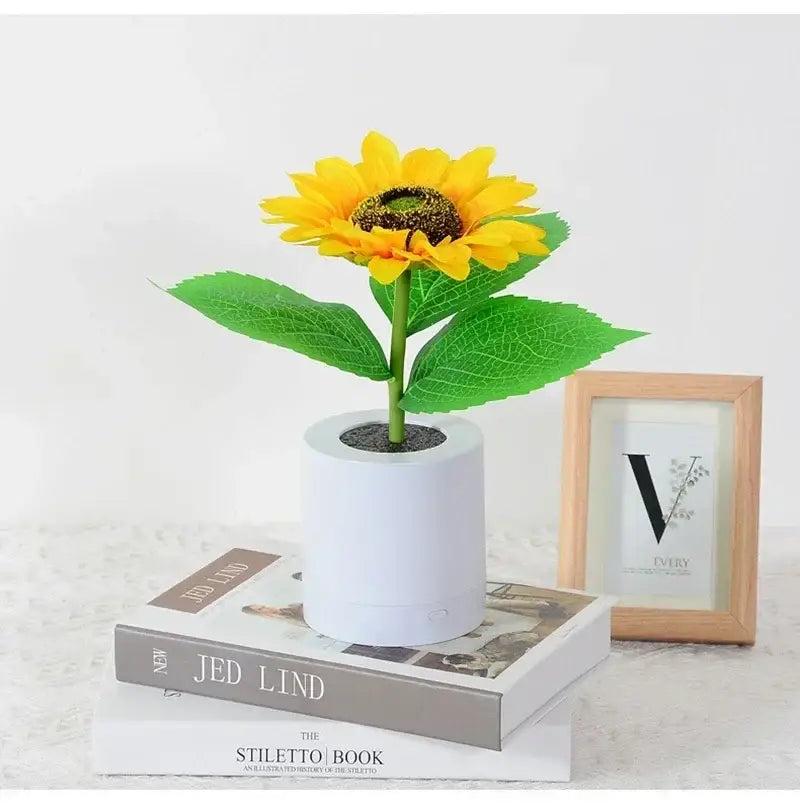Yellow Blue LED Lamp