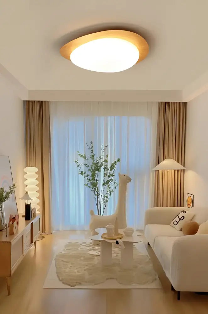 Walnut Oval Acrylic Ceiling Light