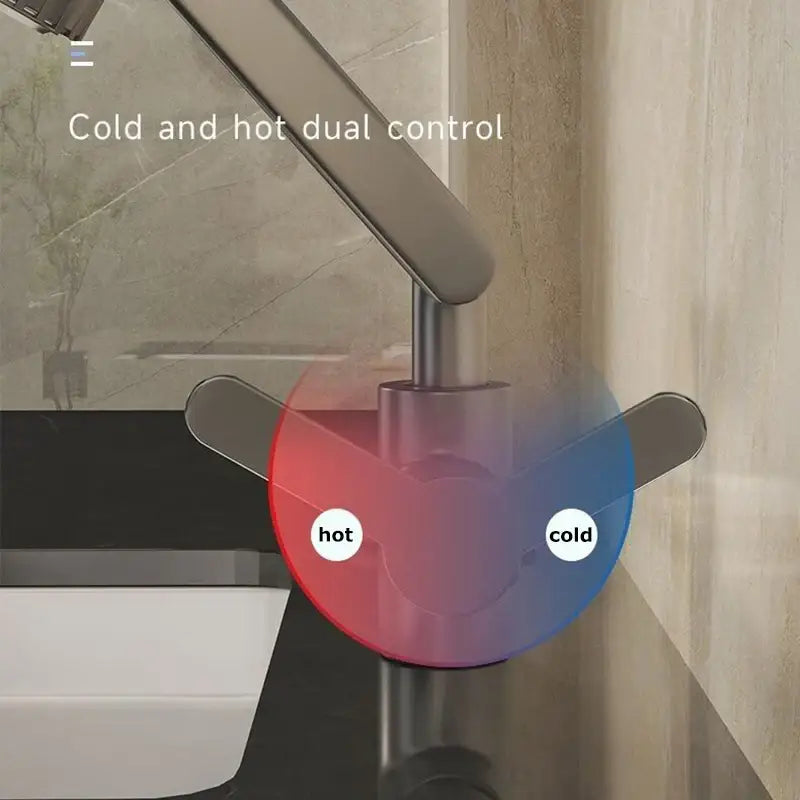 Black Dual-Mode Kitchen Faucet