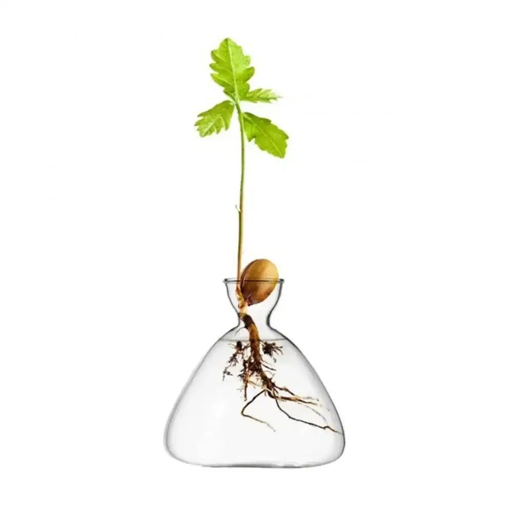 Transparent Glass Trio Vases