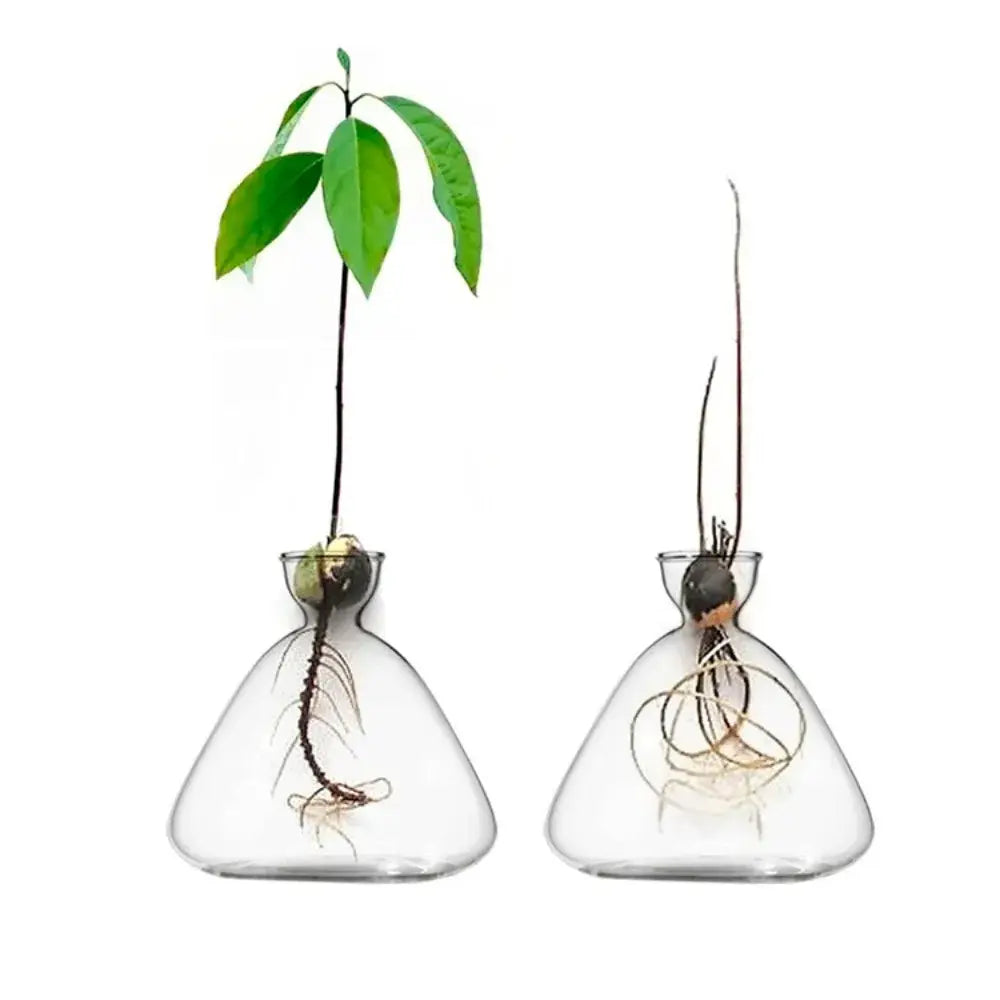 Transparent Glass Trio Vases