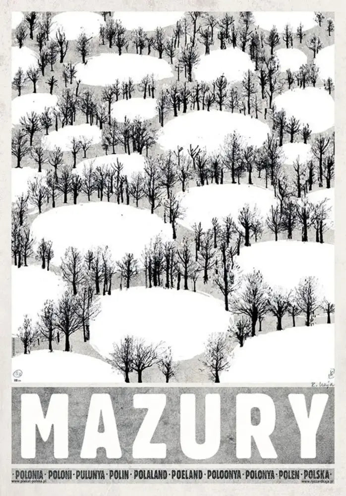Black White City Poster