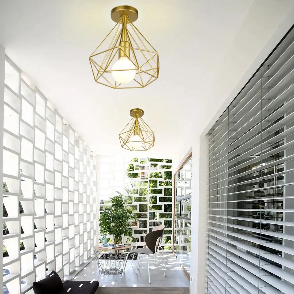 Iron Cage Ceiling Light