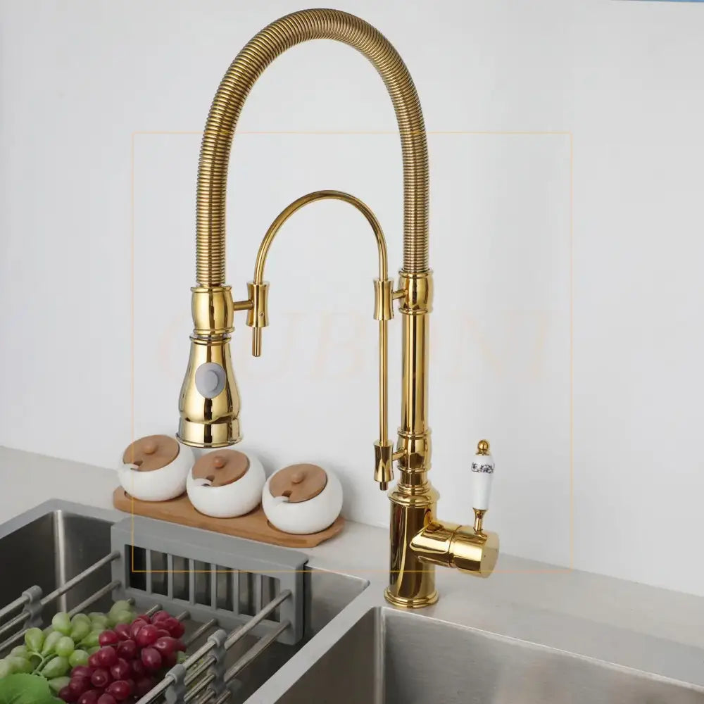 Golden Ceramic Kitchen Faucet