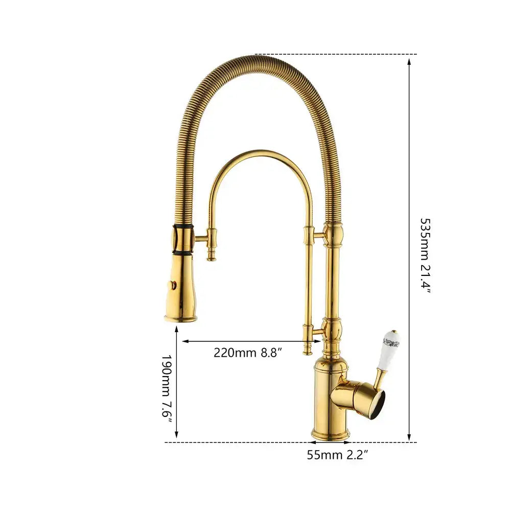 Golden Ceramic Kitchen Faucet