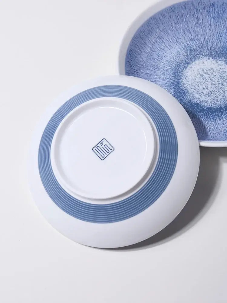 Blue White Ceramic Dish