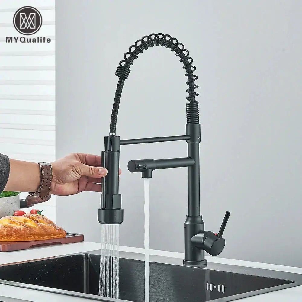 Black Brass Dual Spout Faucet for Kitchens