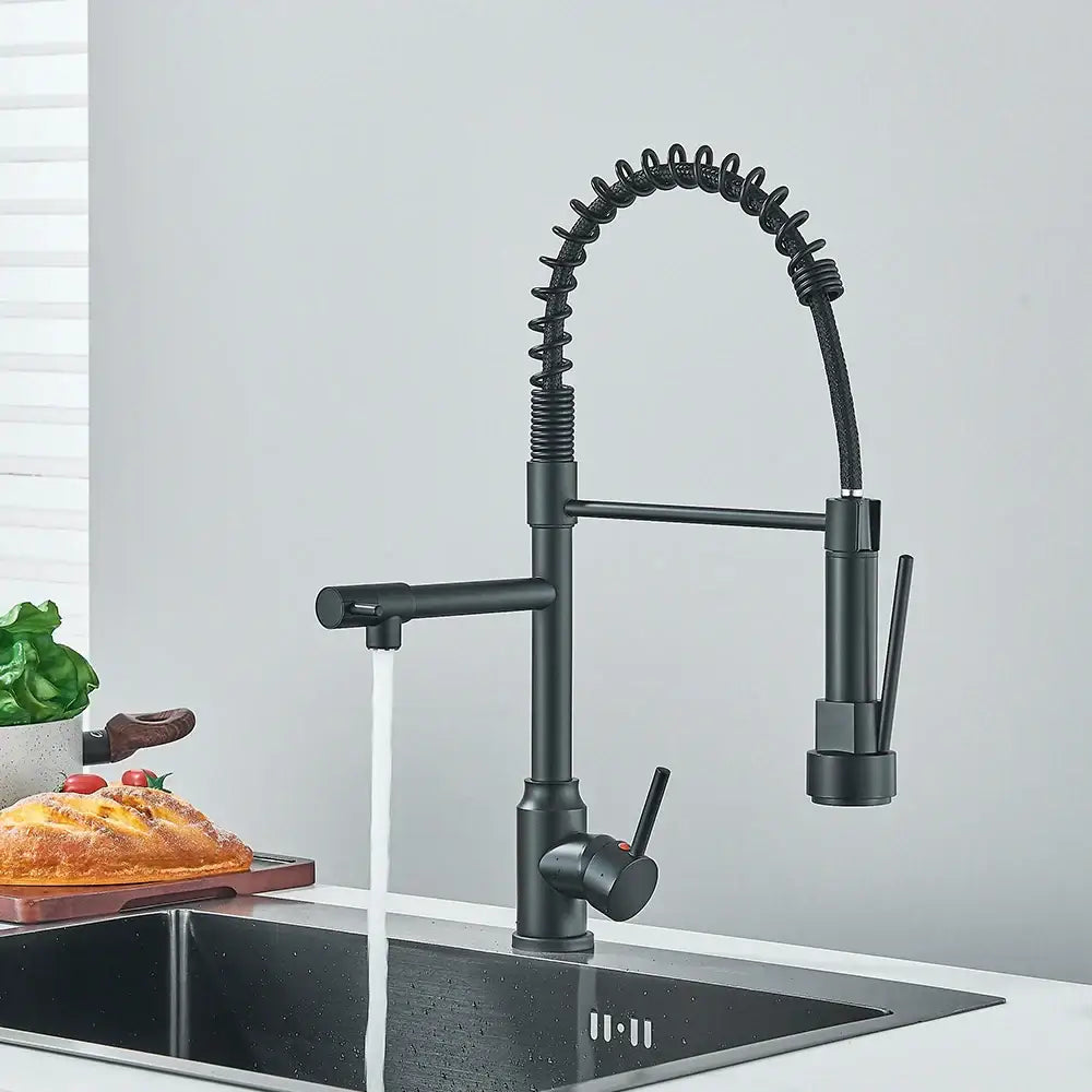 Black Brass Dual Spout Faucet for Kitchens