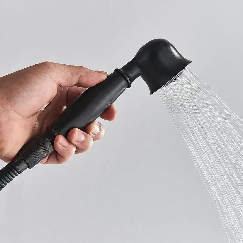 Black Rainfall Shower Dual Handle Bathroom Set