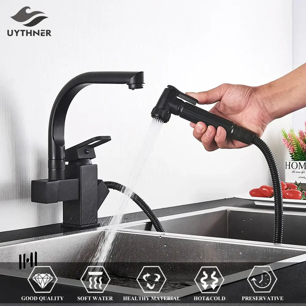 Matte Black Dual Faucet
