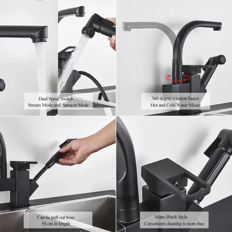 Matte Black Dual Faucet