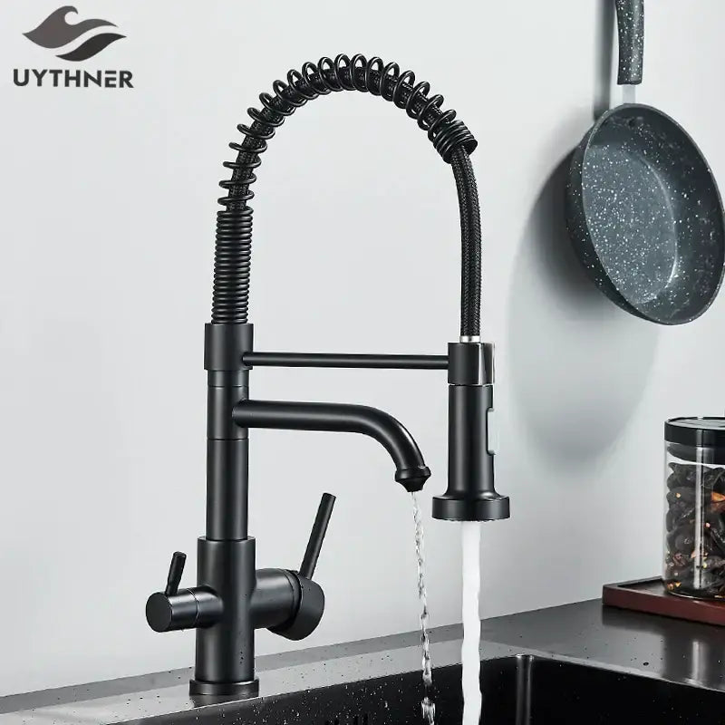 Black Gooseneck Filter Faucet
