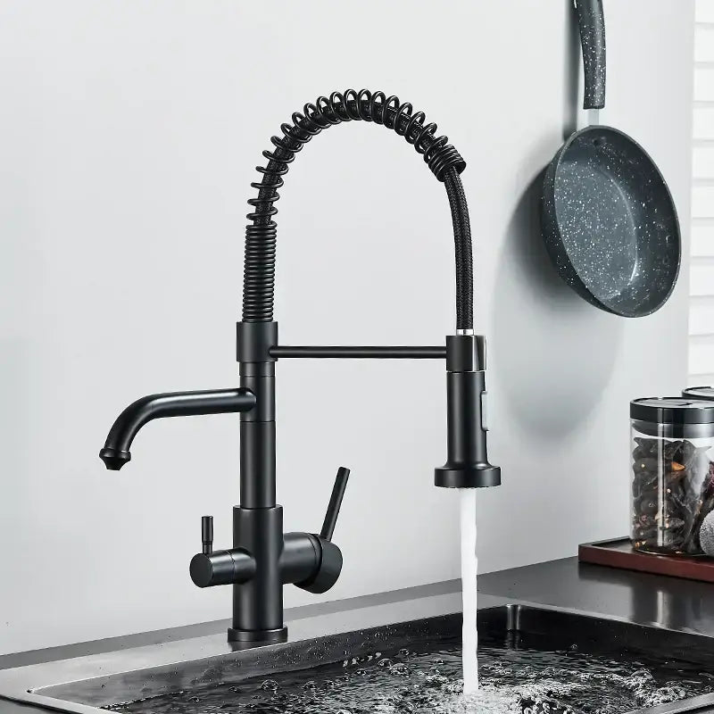 Black Gooseneck Filter Faucet