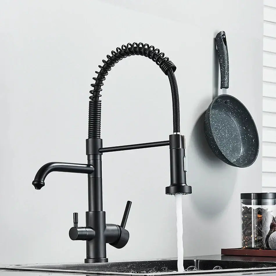 Black Gooseneck Filter Faucet