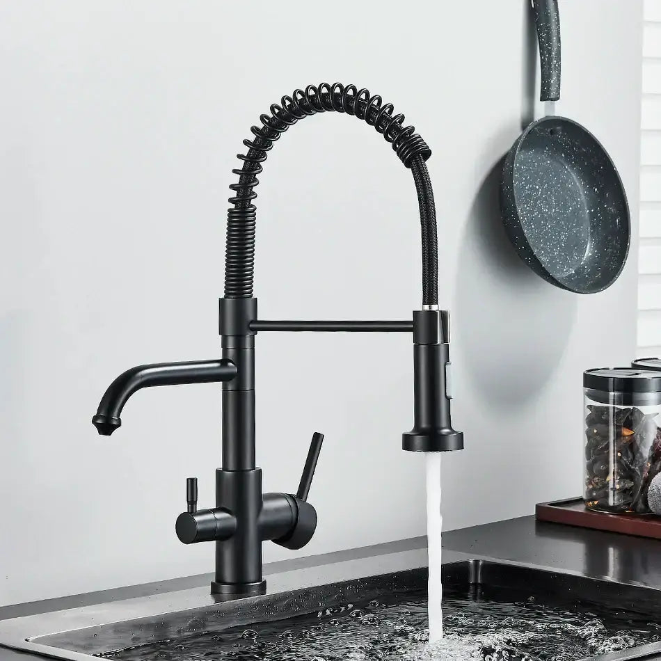 Black Gooseneck Filter Faucet