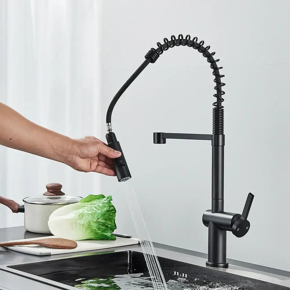 Matte Black Spring Faucet