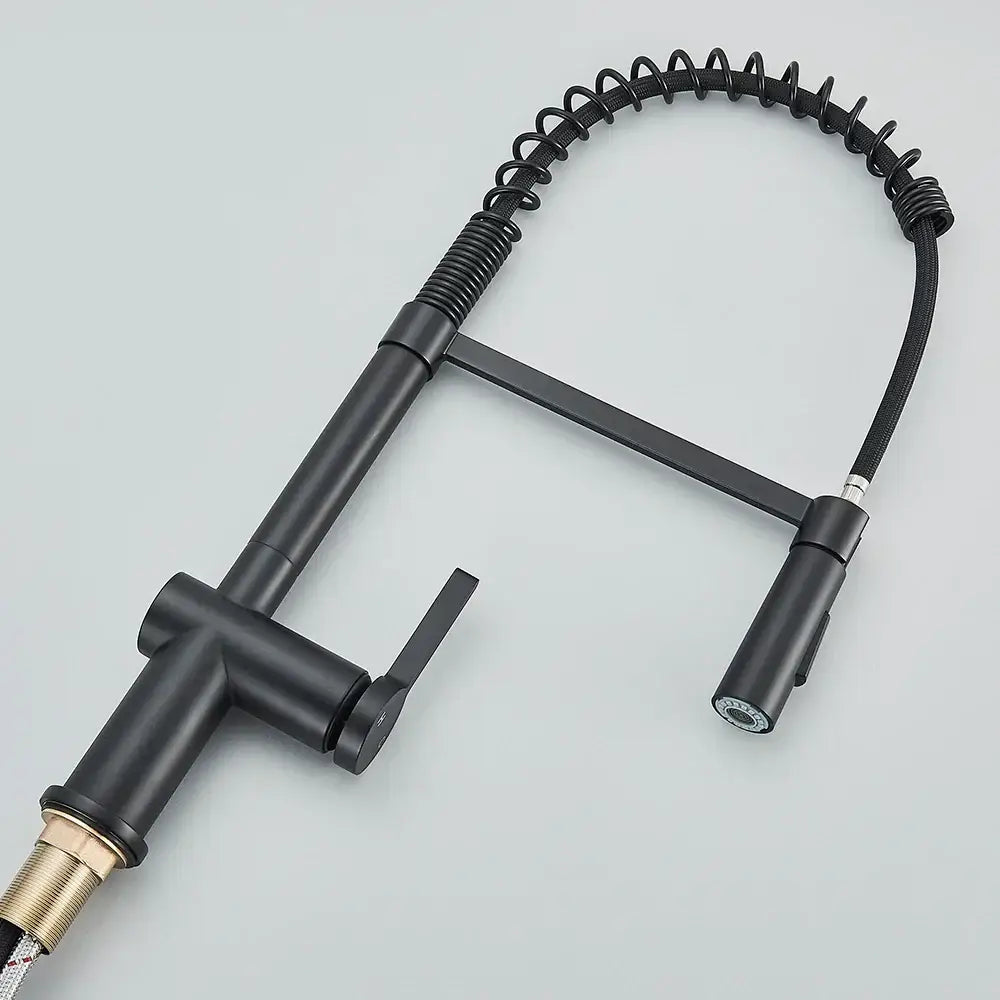 Matte Black Spring Faucet