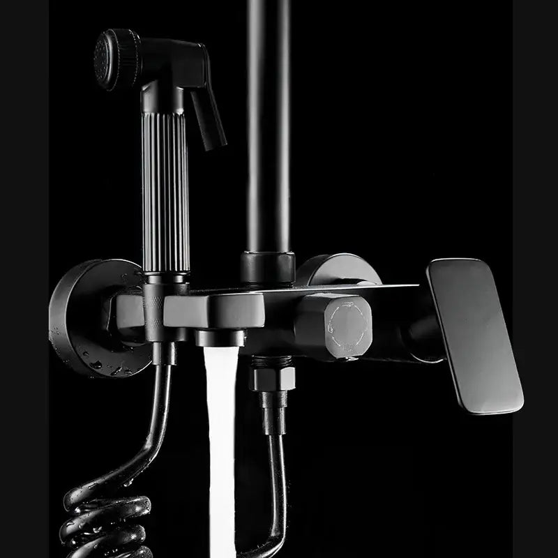 Matte Black Handheld Shower Faucet