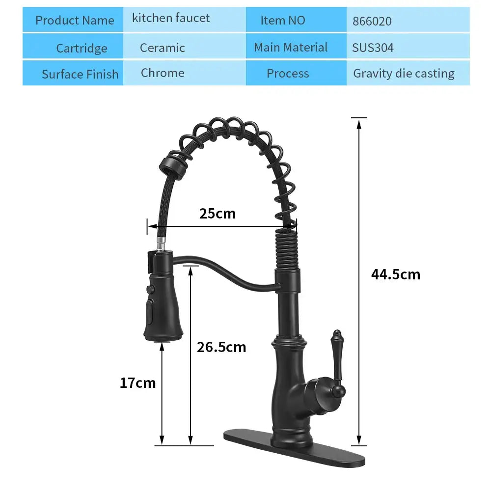 Black Spring Kitchen Faucet