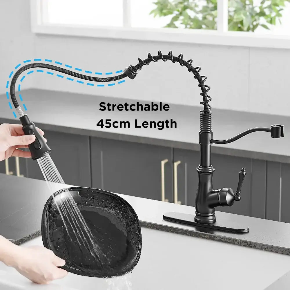 Black Spring Kitchen Faucet