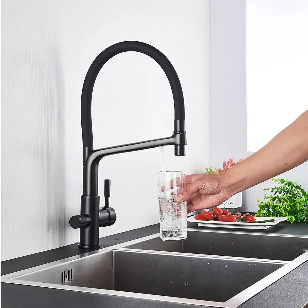 Black Gooseneck Kitchen Faucet