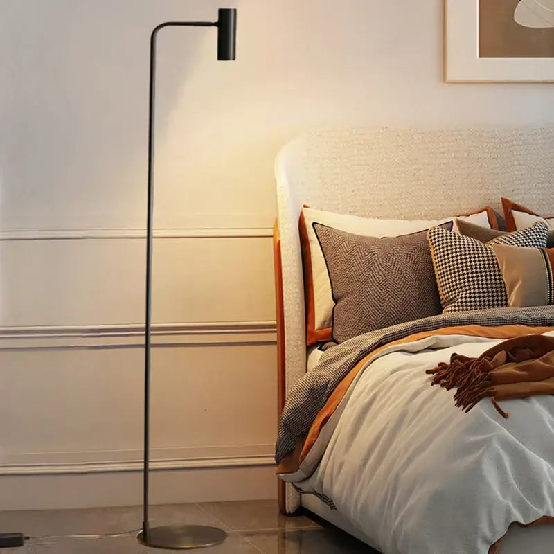 Black Brass Curved Floor Lamp