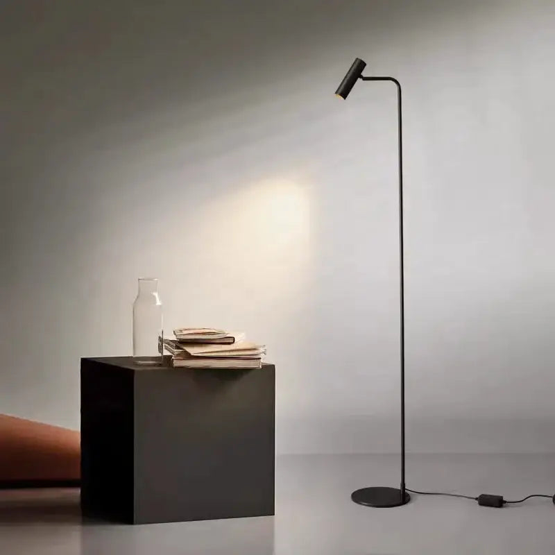 Black Brass Curved Floor Lamp
