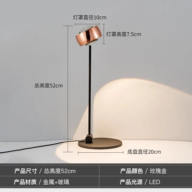 Black Induction Floor Lamp