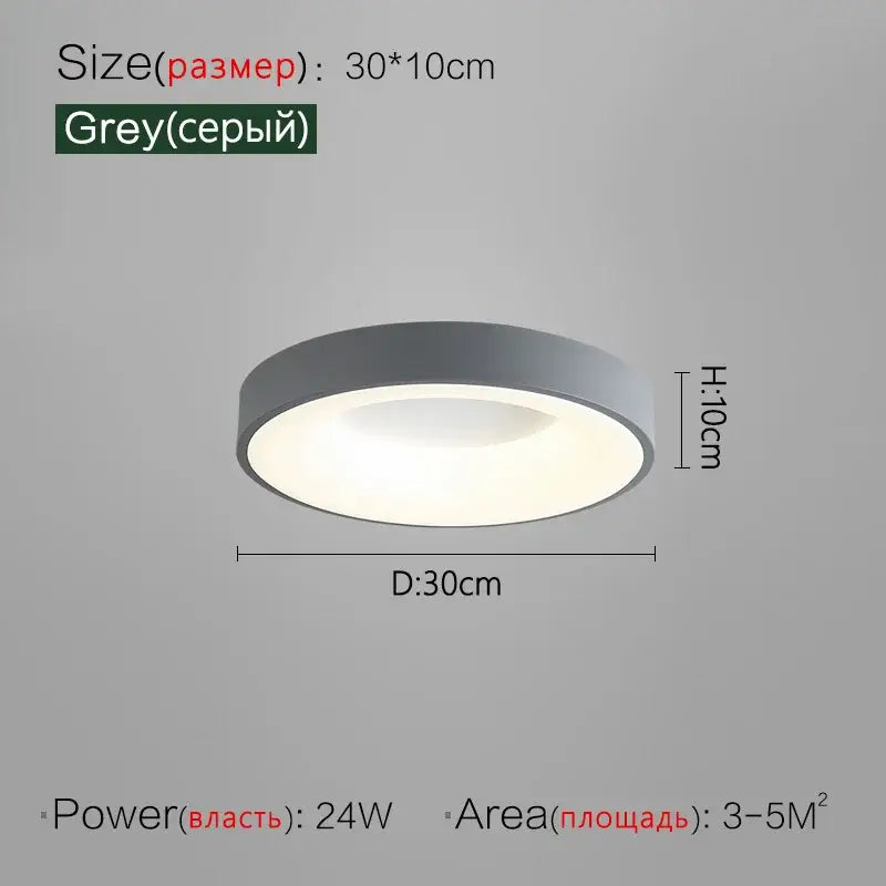 Gray Round Ceiling Lamp