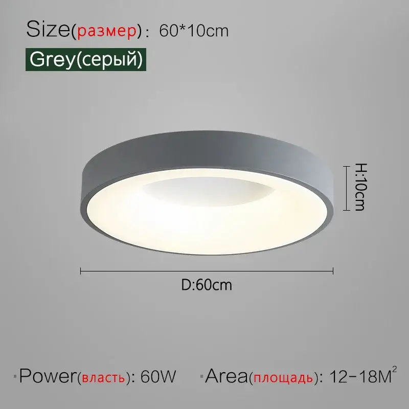 Gray Round Ceiling Lamp
