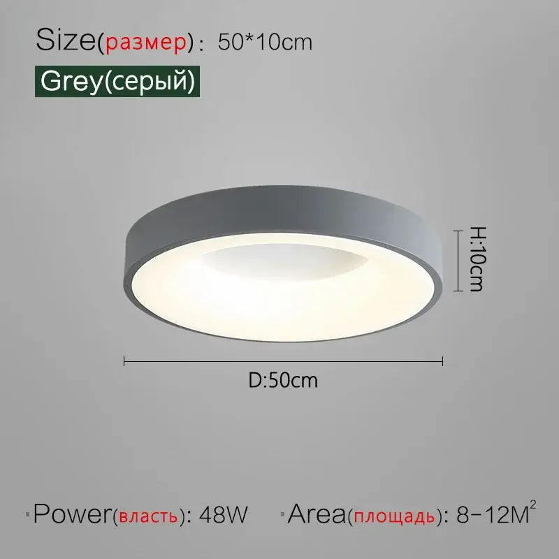 Gray Round Ceiling Lamp