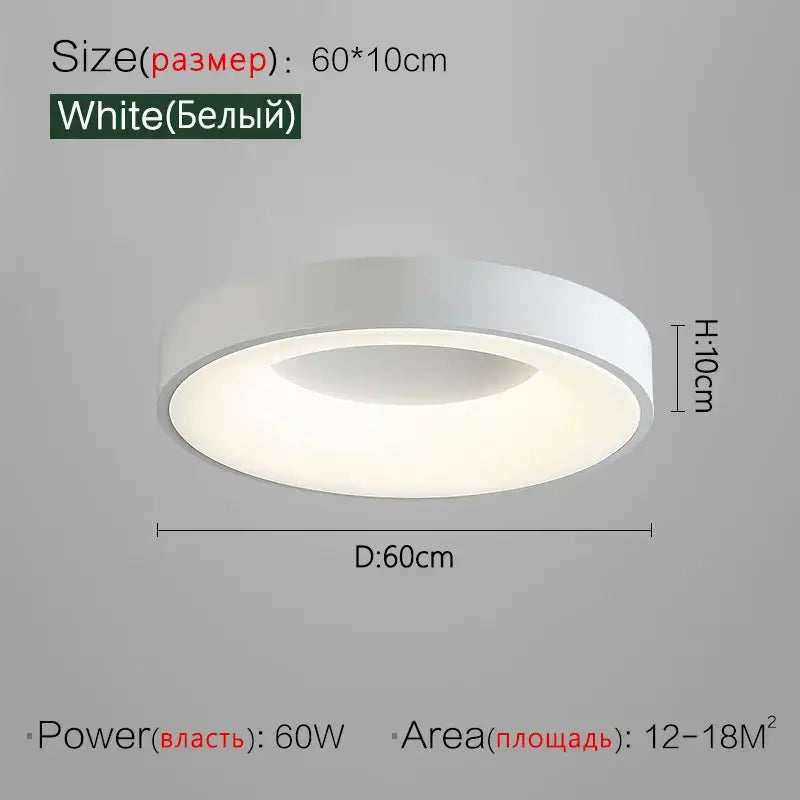 Gray Round Ceiling Lamp
