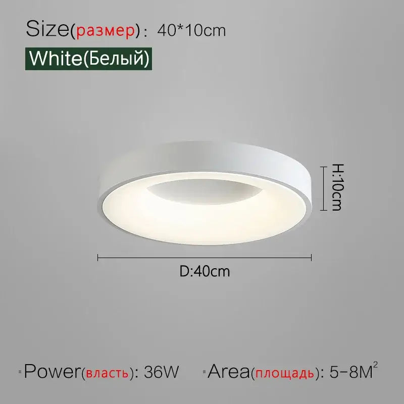 Gray Round Ceiling Lamp