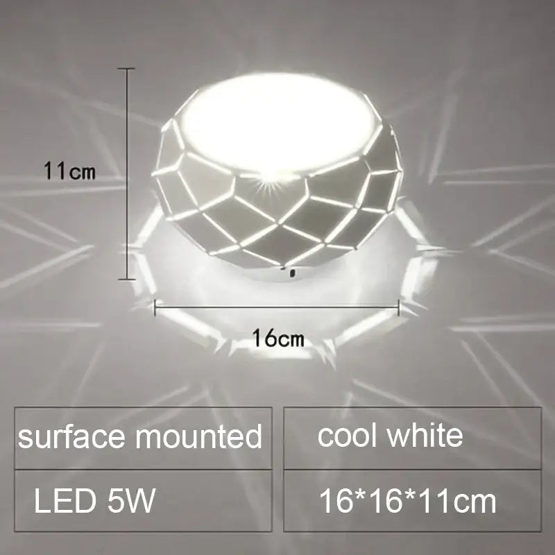 Metal Dimmable Ceiling Light