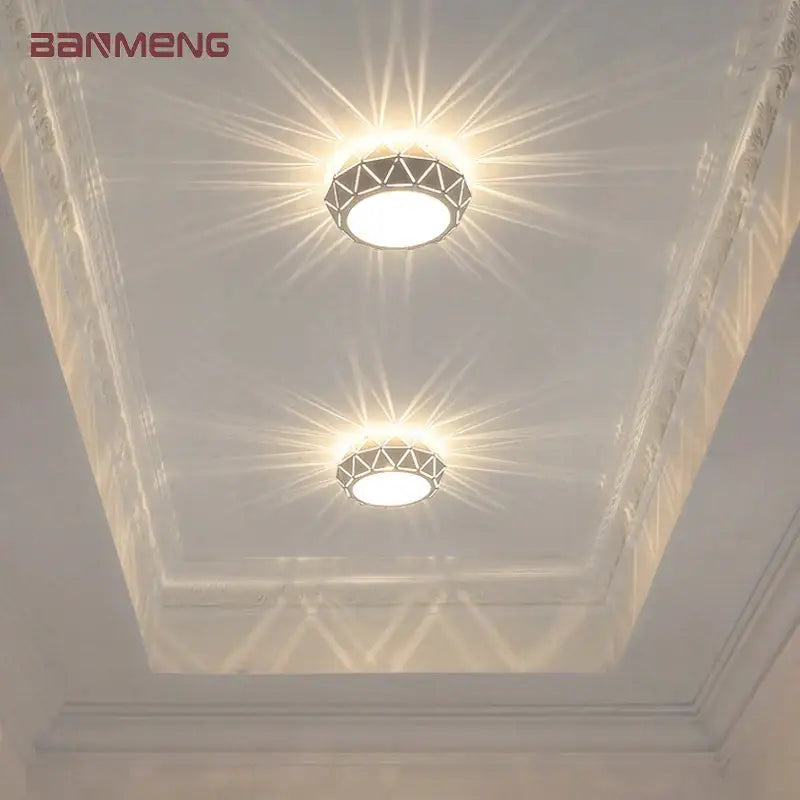 Metal Dimmable Ceiling Light