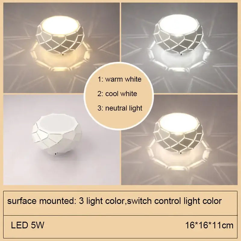 Metal Dimmable Ceiling Light