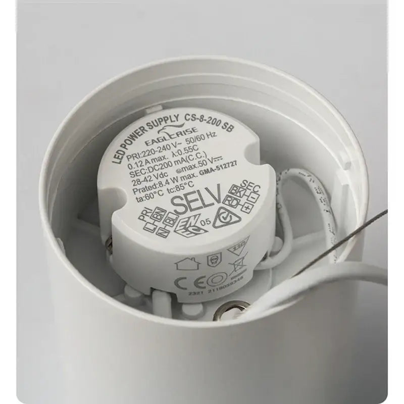 White Black LED Ceiling Light