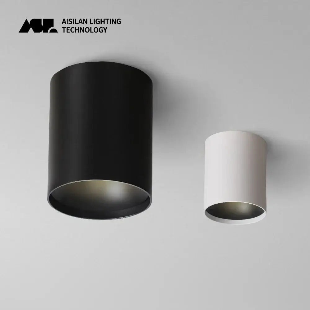 White Black LED Ceiling Light